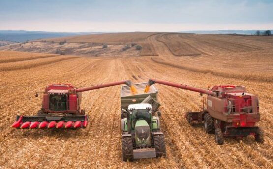 На Харківщині  триває збирання пізніх зернових